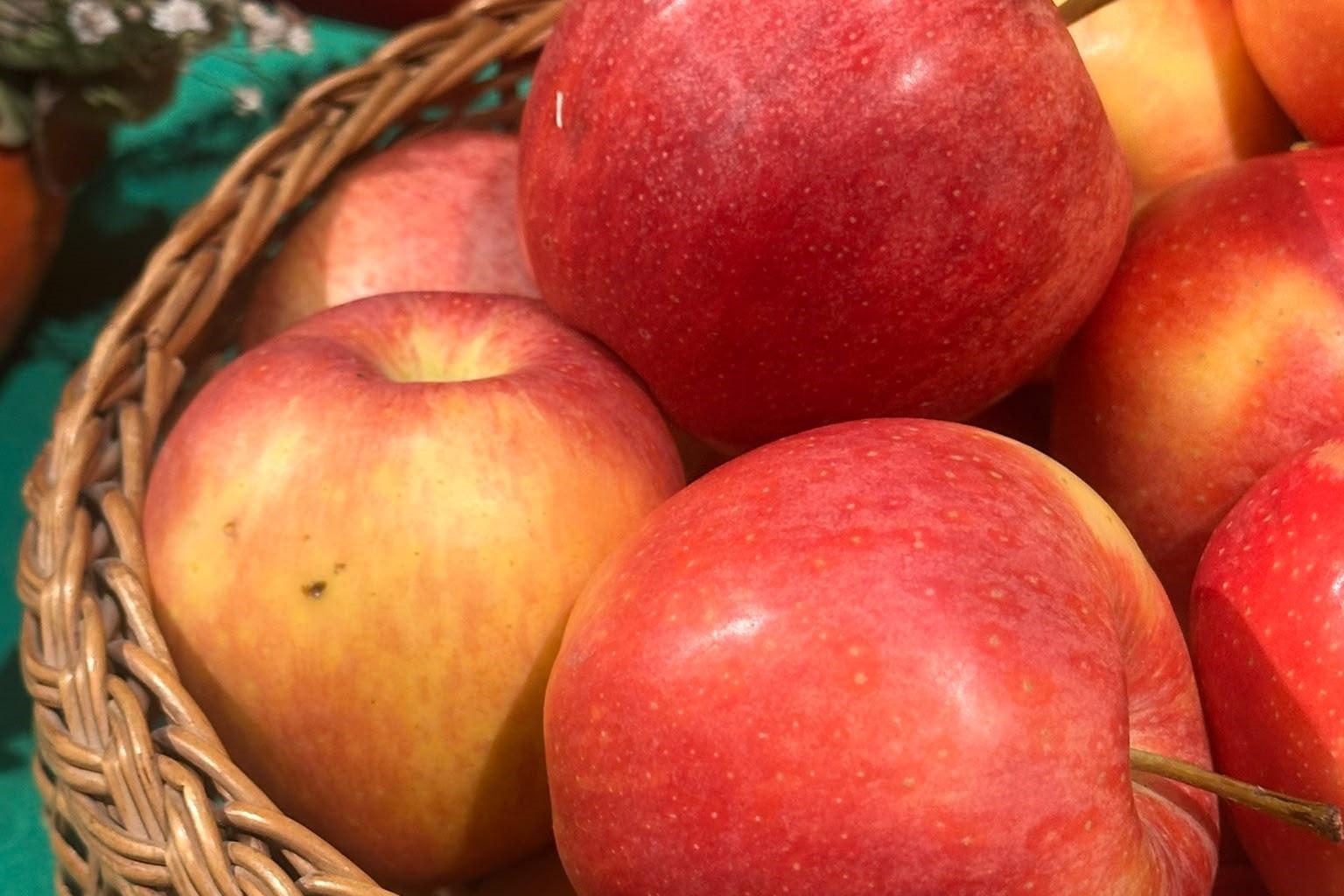 Äpfel