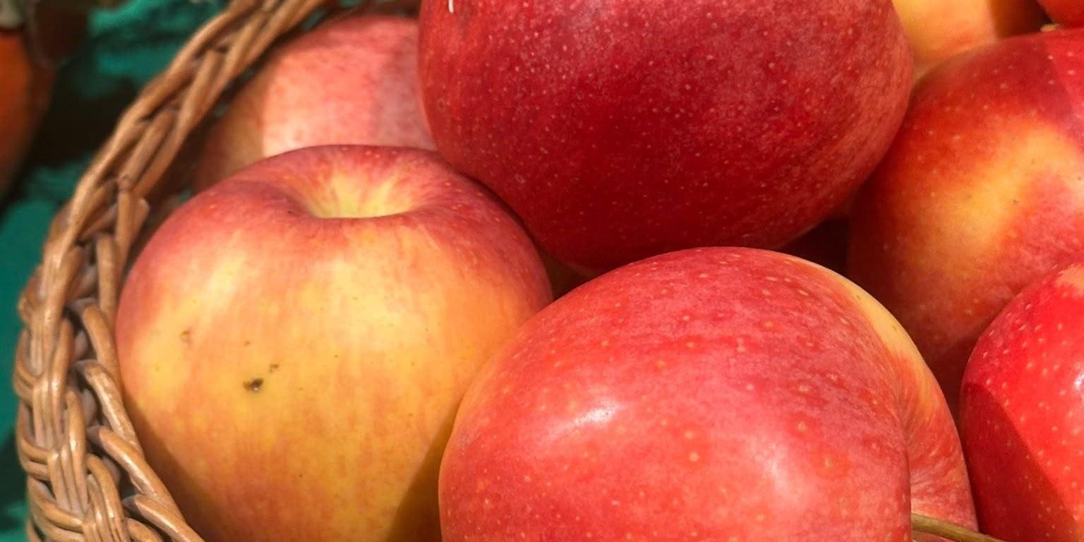Äpfel