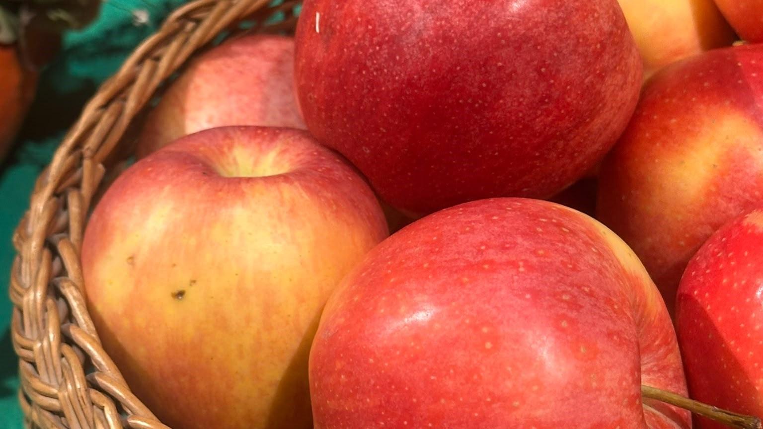 Äpfel